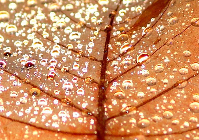 Take a closer look at the droplets!