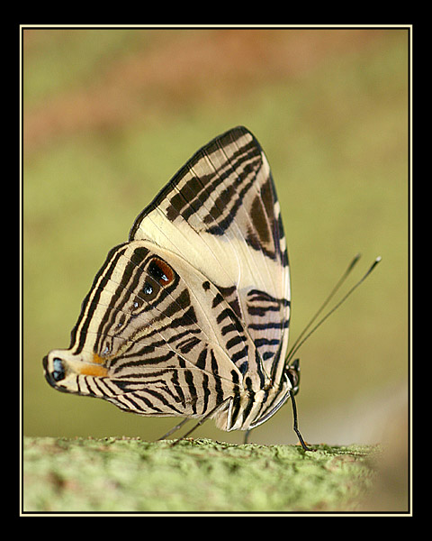 aIMG_0354.jpg