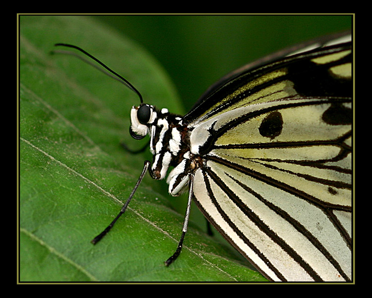 aIMG_0365.jpg