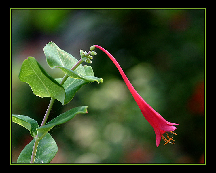 aIMG_0453.jpg