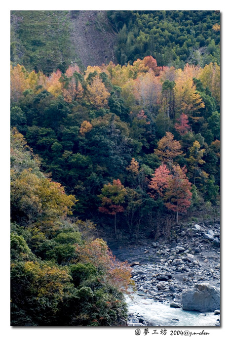 DSC_1294.jpg