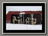 winter_2002
