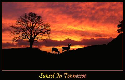 Sunset-In-Tennessee