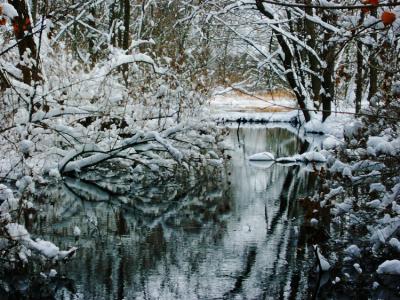 stream, fort custer, christmas day, 2002