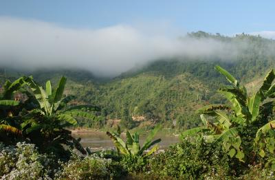 Mist near the Mekong, Laos