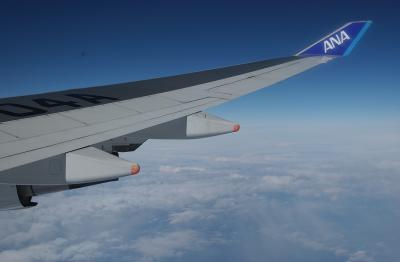 Wing of All Nippon Airline