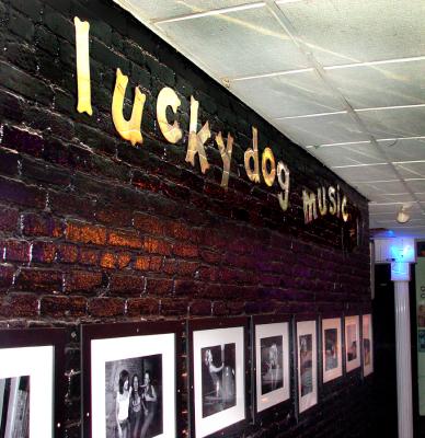 lucky_dog_gallery