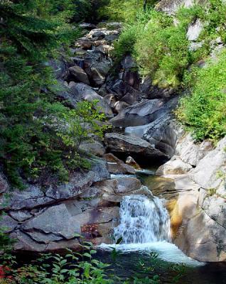 the flume