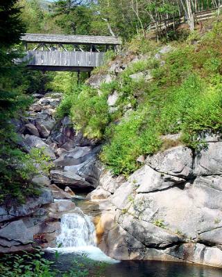 the flume