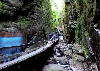 The Flume 15.jpg