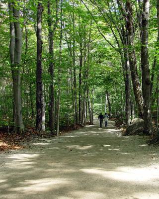 The Flume entrance.jpg