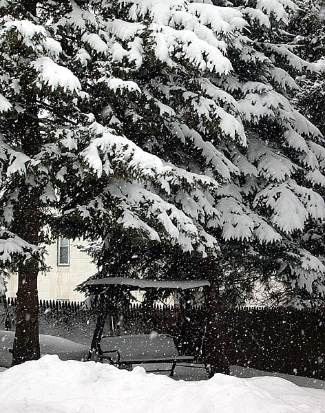 Snow DSC04124.jpg