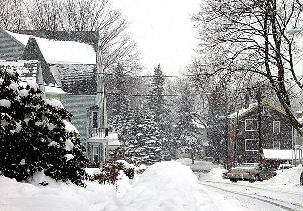 Snow Day DSC04128.jpg