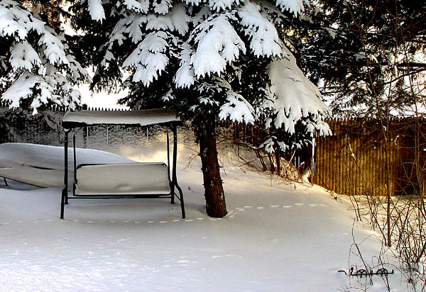Snow Day DSC04140.jpg