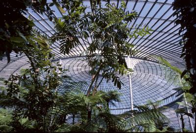 Kibble Palace 85