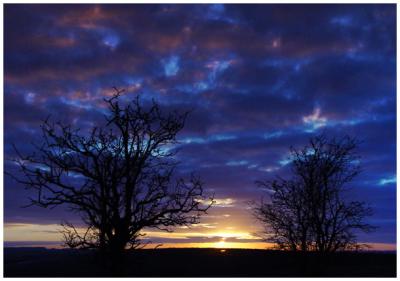 Sunset in East Anglia + Treesby Jon Mold