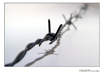 Freedom  by ZoomBoy