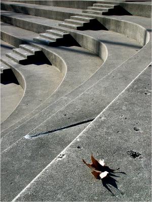 Fallen LeafExample only- not for voting