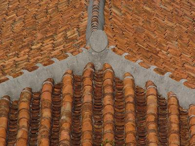   Not Just Any Tile Roof!    by Helen Betts  