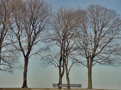Bird, Bench and Bonhomie by W.C.