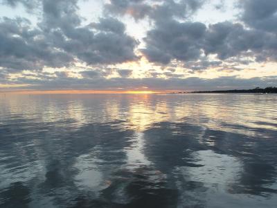 Gulf Solitude by Richard d B