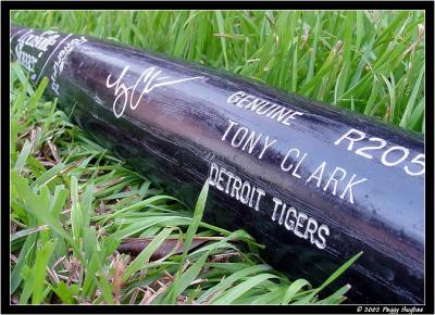 Louisville Slugger by Peggy