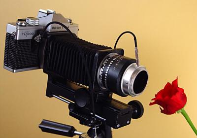 When macro was hard to do.by Willem
