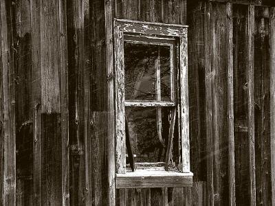 Window From the PastBill Borne