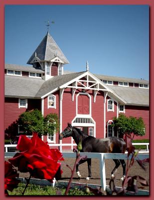 Stanford Red Barn *by Michael Puff