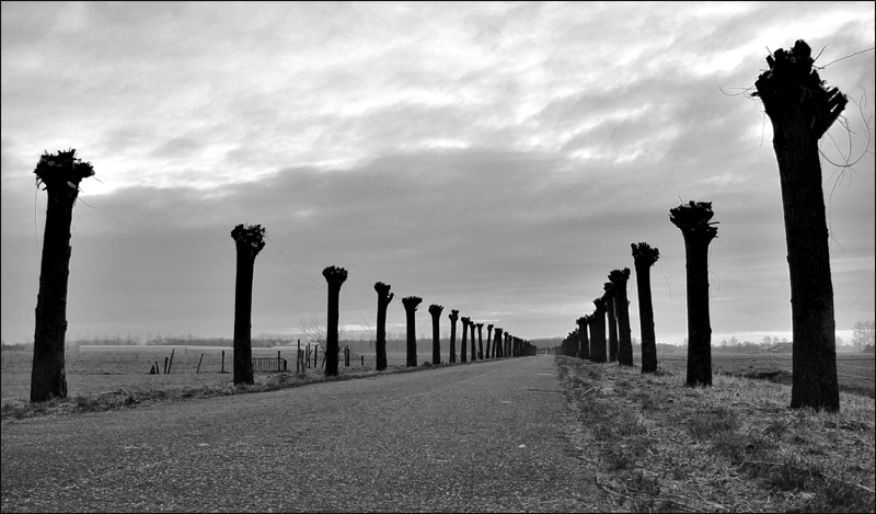 <p align=center> <b> waiting for spring</b> <br> <font size=1> by Hewy