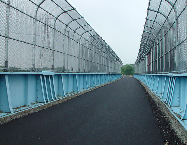 Bridge Runner by Eric Hatch