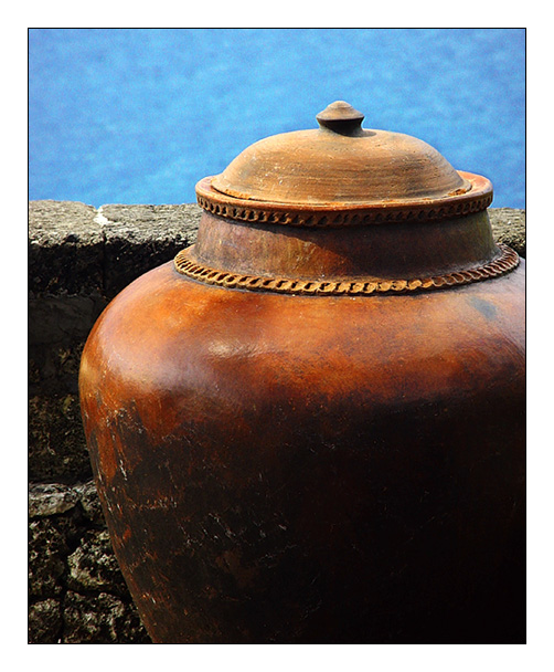 <b>Guarding the Sea</b><br><font size=1>by Vikas