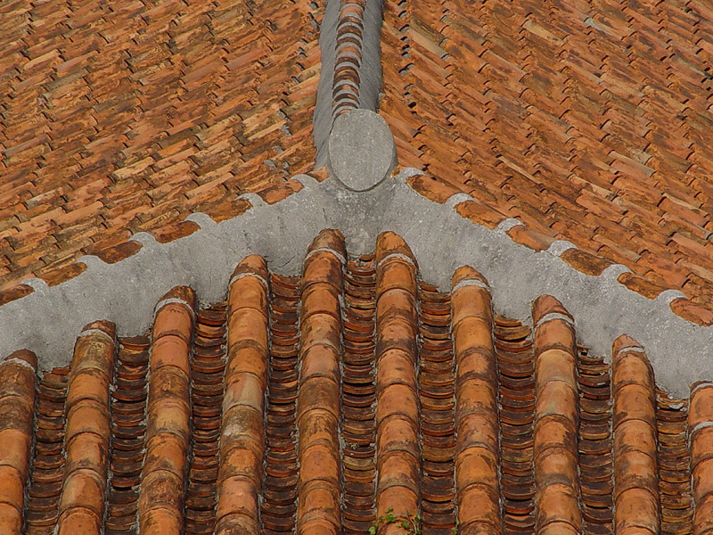 <p align=center> <b> Not Just Any Tile Roof! </b> <br> <font size=1> by Helen Betts </font> </p>