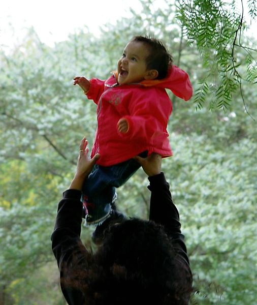 <b>Upsie-Daisy</b><br><font size=1>Sehzar</font>