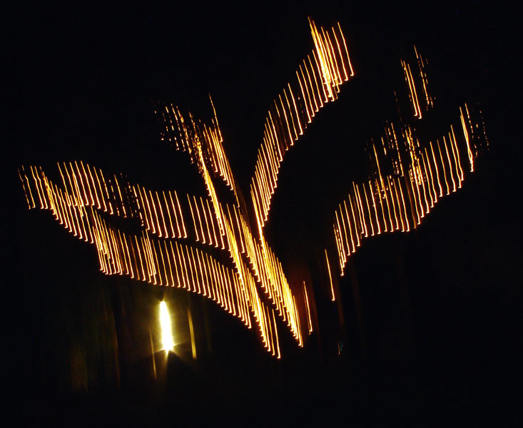 Tree of Light<br>by Ted.Sz
