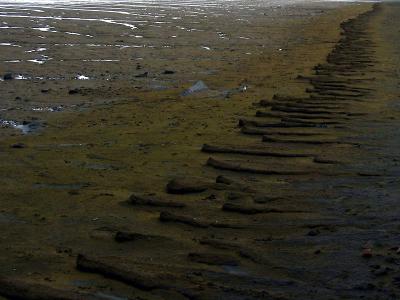 sand3.jpg