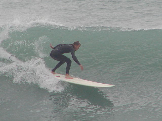 P1010020 2.JPG