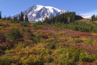 Mt Rainier in Fall Colors