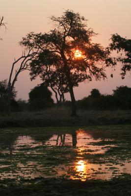 Sunset in the South Luangwa