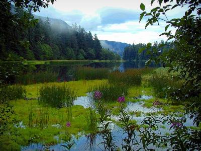 Blind River Reflections