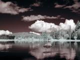 Blind River IR