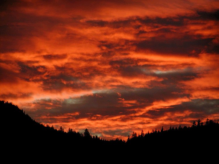 Petersburg Sunset