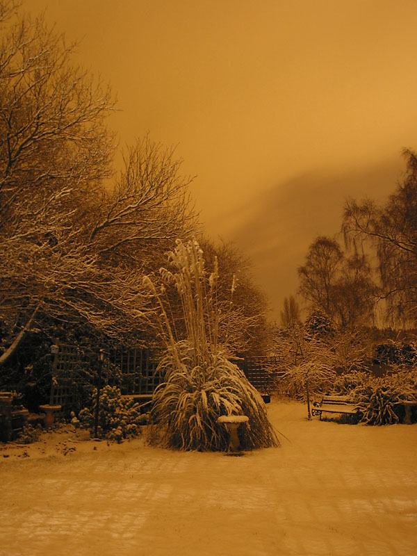 Snow at night