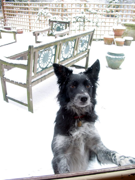 Can I come in now?