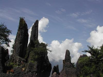 Stone-forest.jpg