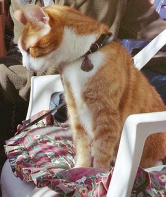 u23/waggawagga/medium/33081903.buster2.jpg