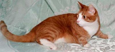 u23/waggawagga/medium/33081958.buster_2003.jpg