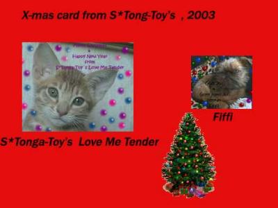 X-mas card from S*Tonga-Toy's Ocicats 2003