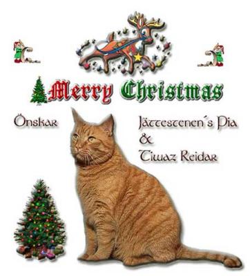 X-mas card from Jttestenen's EUR & MCO 2003