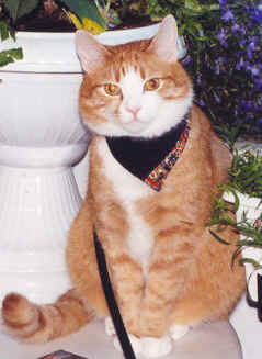 1999